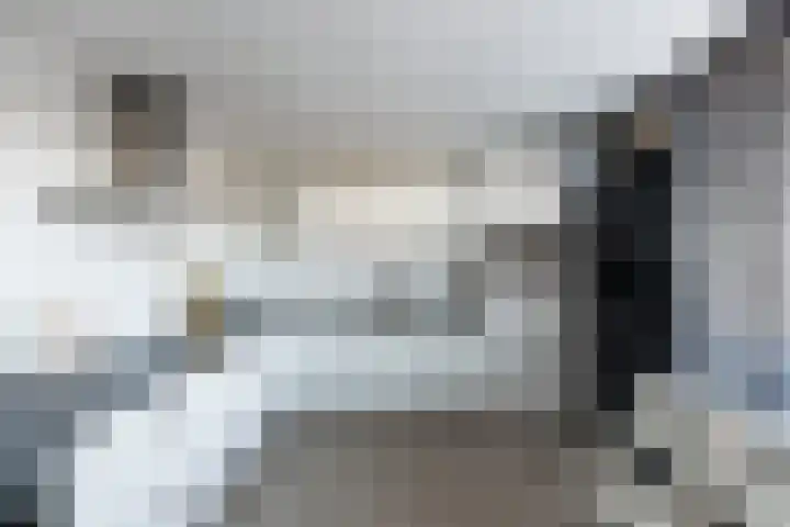 Moerbeistraat 7 Spijkenisse thumbnail 22