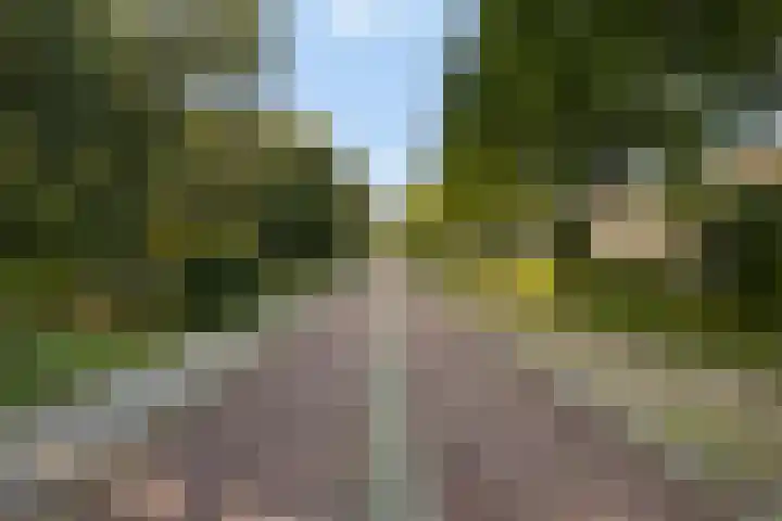 Moerbeistraat 7 Spijkenisse thumbnail 41