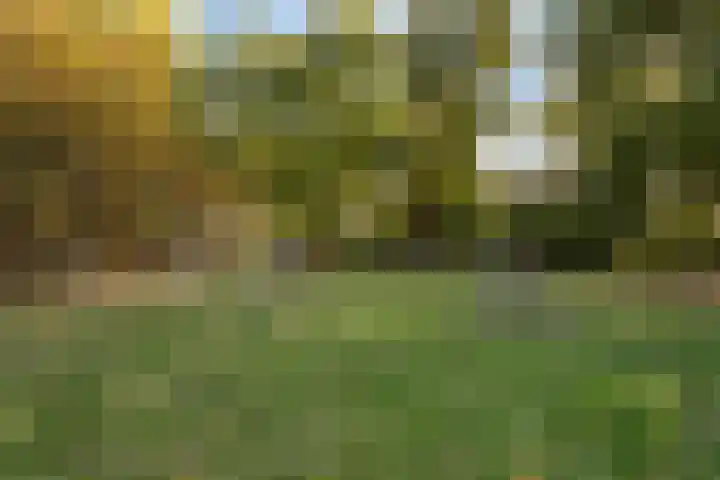 Moerbeistraat 7 Spijkenisse thumbnail 43