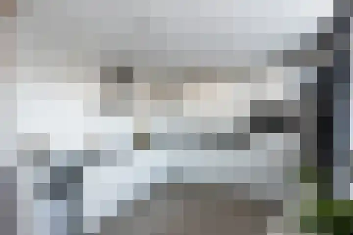Moerbeistraat 7 Spijkenisse thumbnail 5