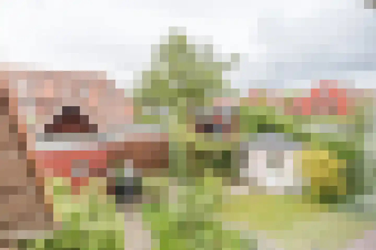Moerbeistraat 9 Aalsmeer thumbnail 32