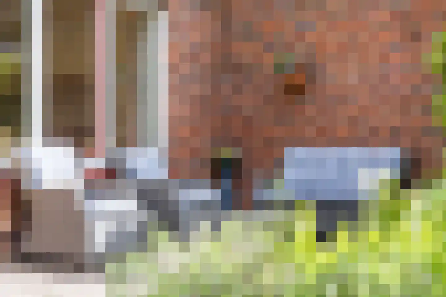 Moerbeistraat 9 Aalsmeer thumbnail 35