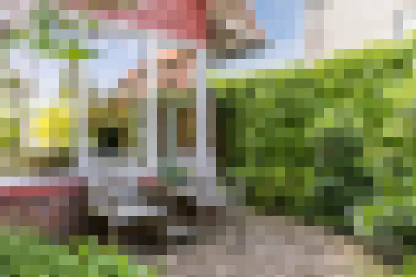 Moerbeistraat 9 Aalsmeer thumbnail 36