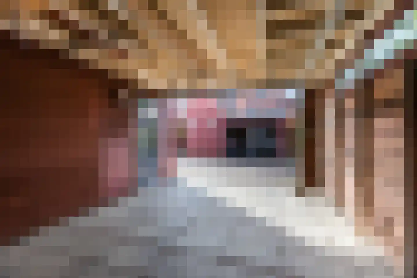 Moerbeistraat 9 Aalsmeer thumbnail 37