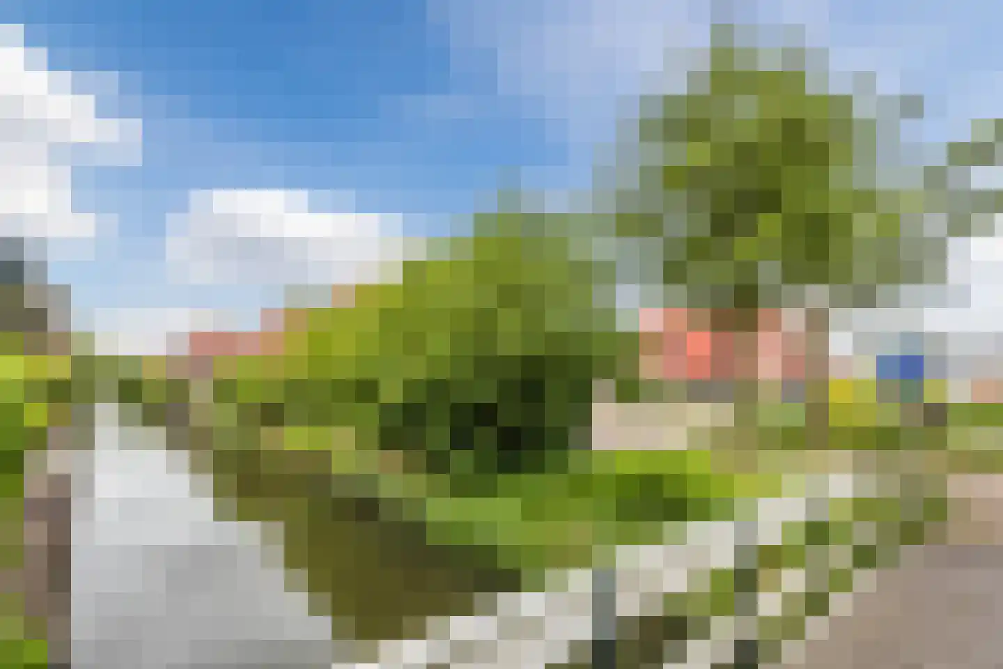 Moerbeistraat 9 Aalsmeer thumbnail 41