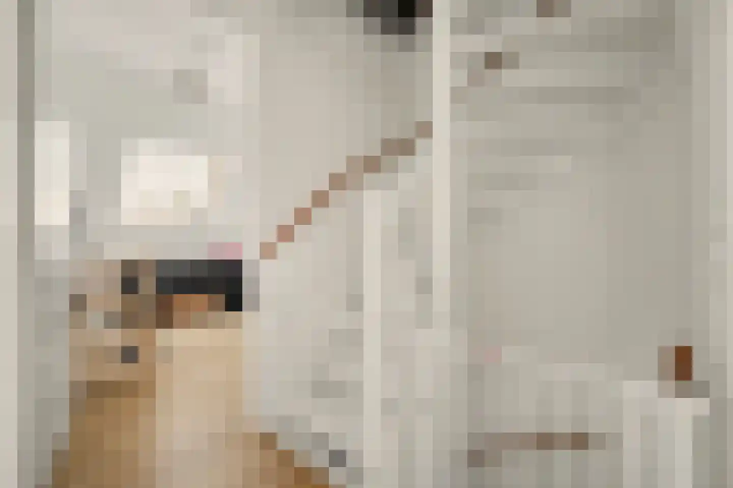 Moerdamme 20 Oostdijk thumbnail 14