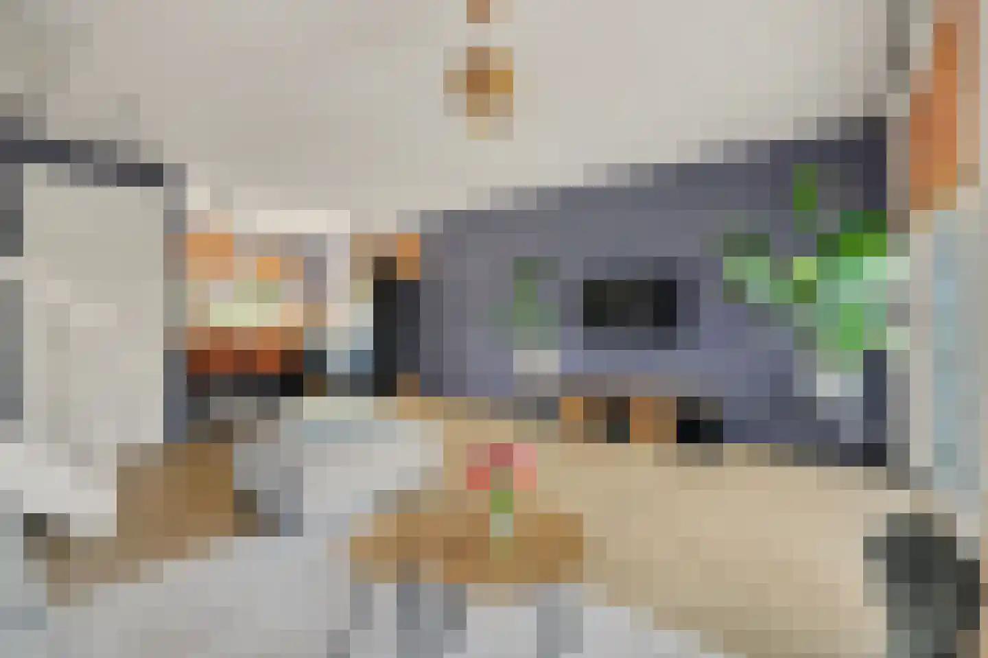 Moerdamme 20 Oostdijk thumbnail 8