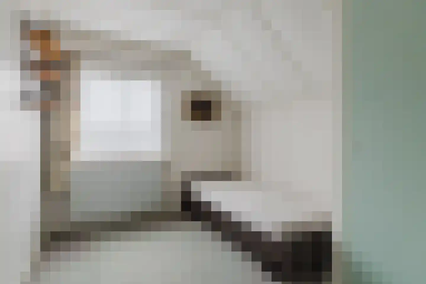 Moerdijkse Postbaan 52 Etten-Leur thumbnail 18