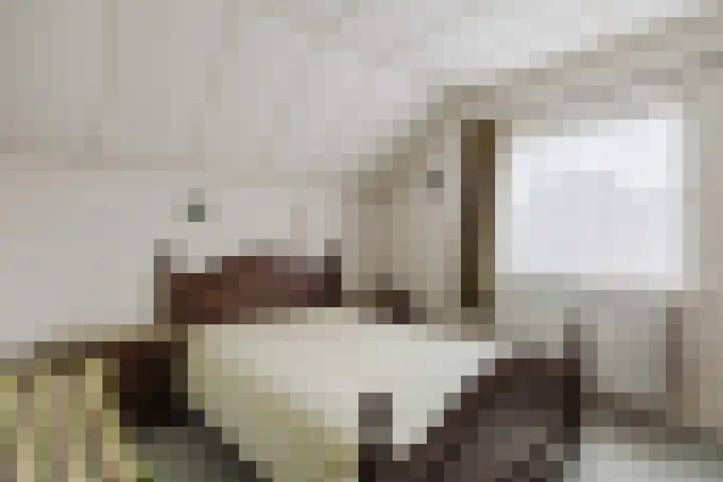 Moerdijkse Postbaan 52 Etten-Leur thumbnail 24