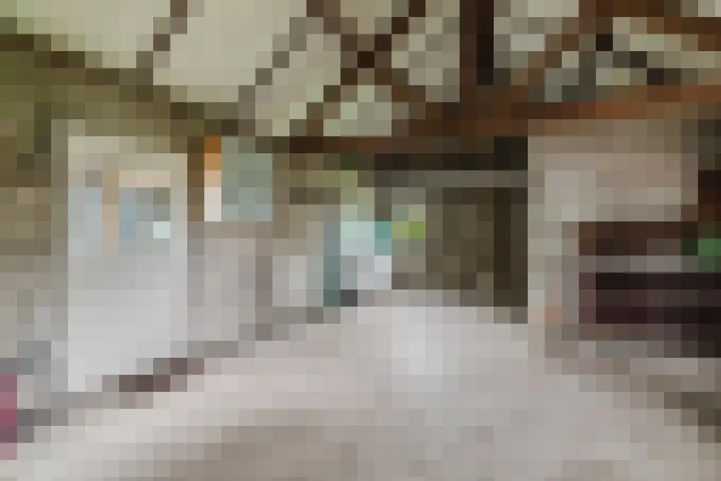 Moerdijkse Postbaan 52 Etten-Leur thumbnail 32