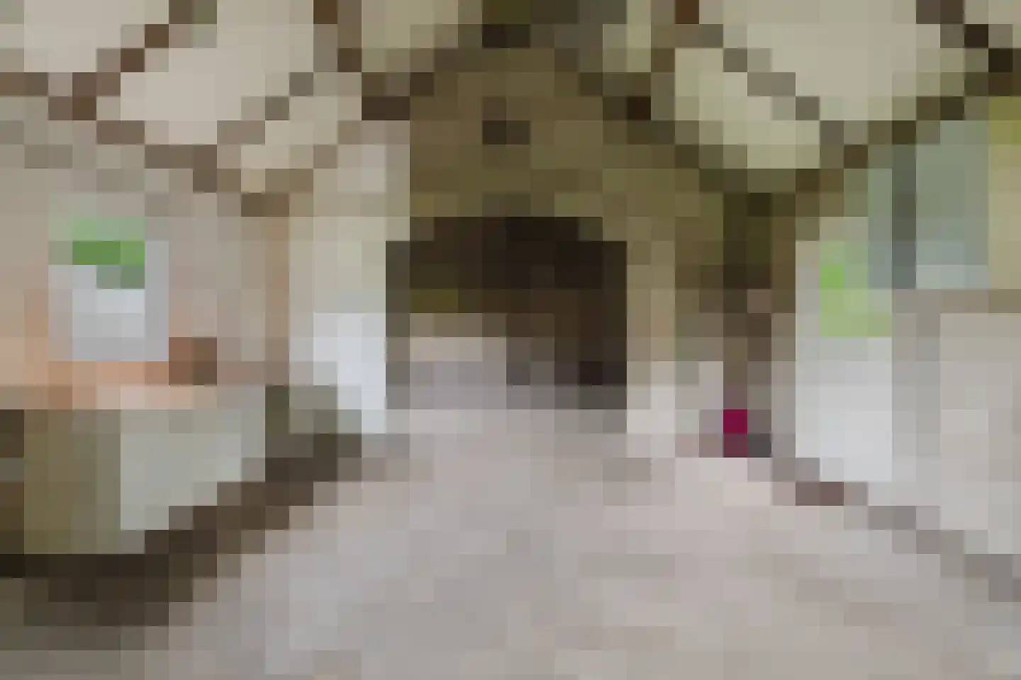 Moerdijkse Postbaan 52 Etten-Leur thumbnail 33