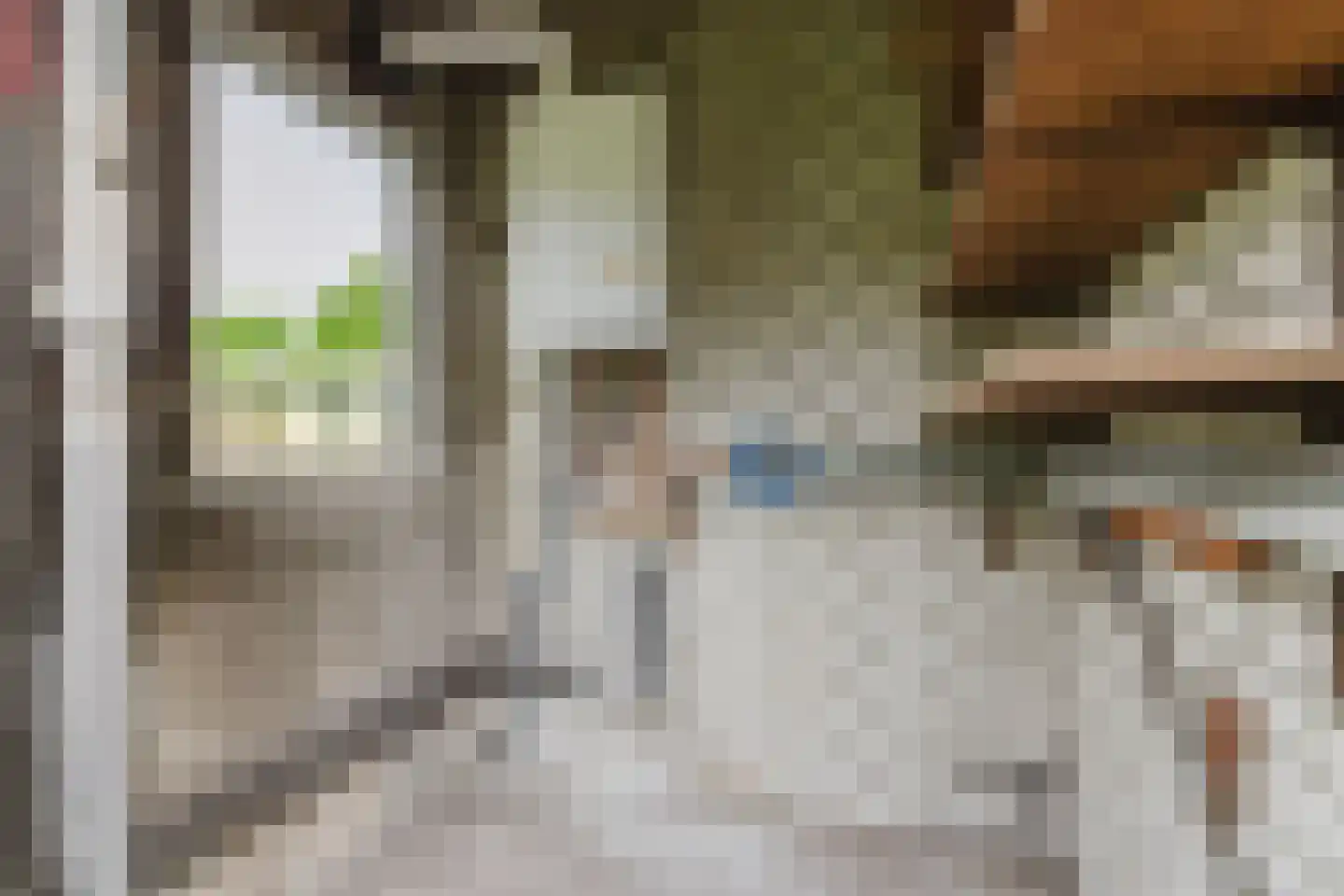 Moerdijkse Postbaan 52 Etten-Leur thumbnail 35