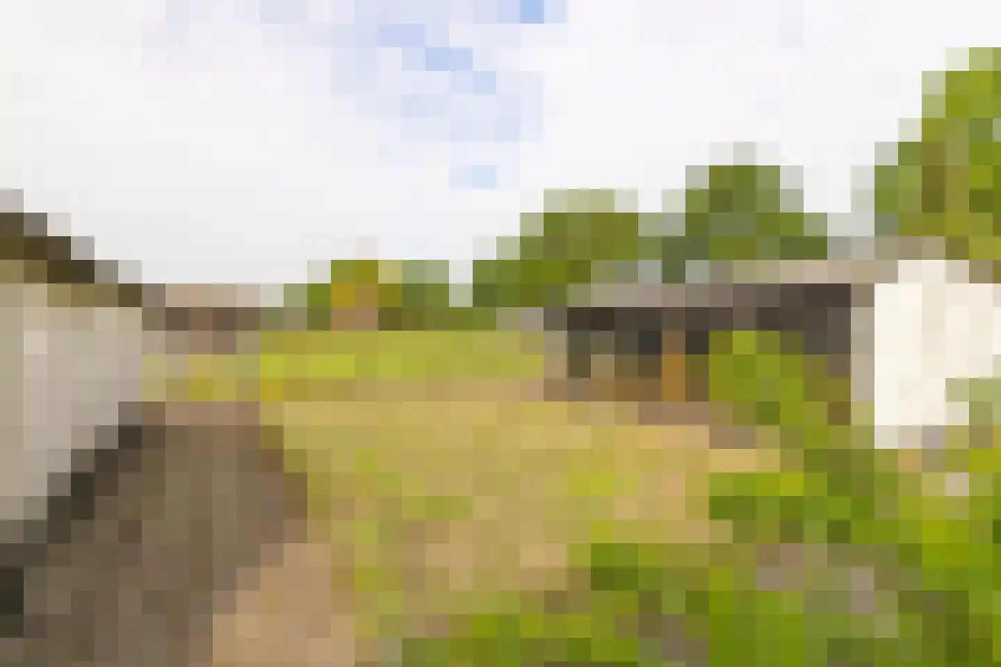 Moerdijkse Postbaan 52 Etten-Leur thumbnail 41