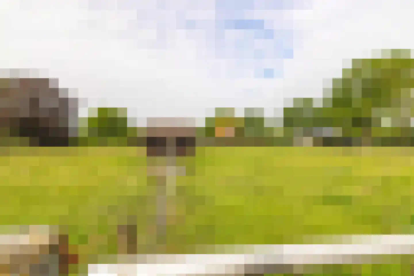 Moerdijkse Postbaan 52 Etten-Leur thumbnail 43