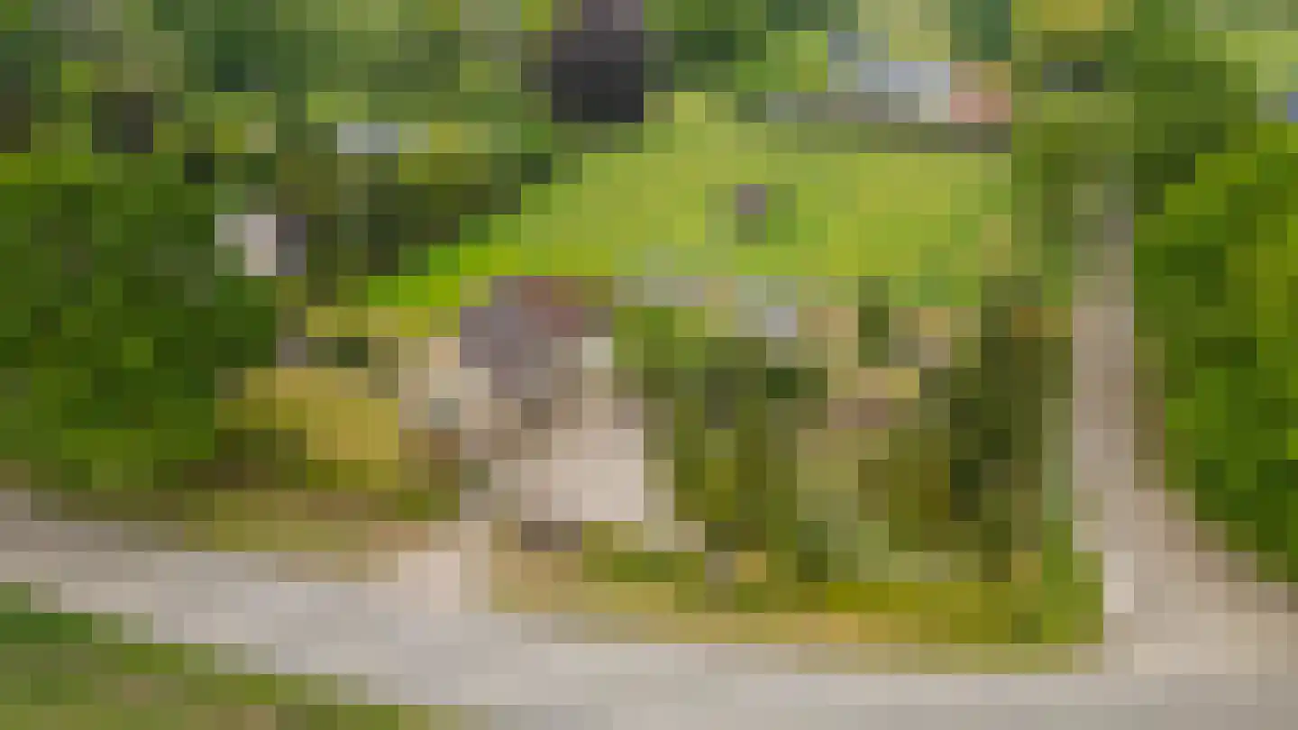 Moerdijkse Postbaan 52 Etten-Leur thumbnail 46