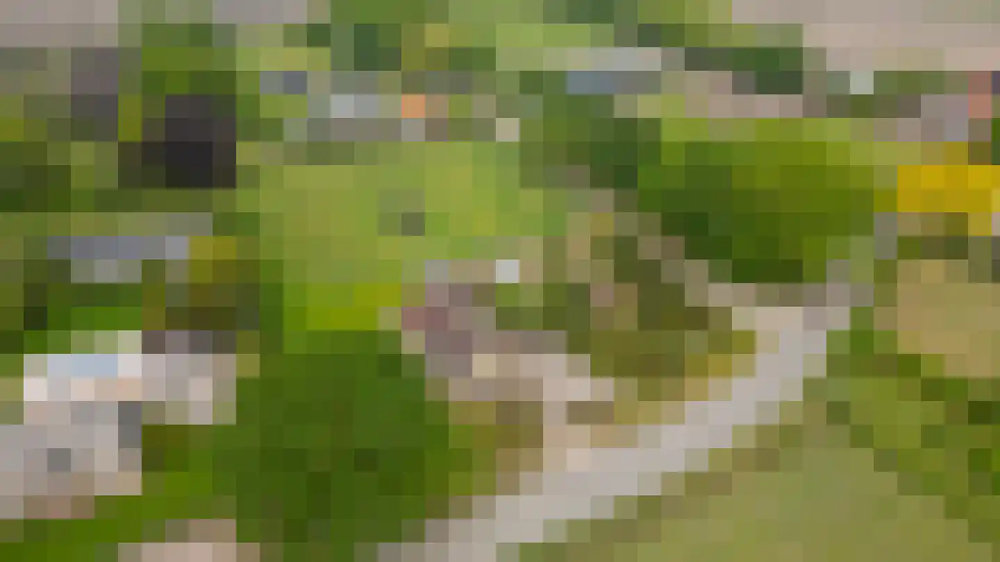 Moerdijkse Postbaan 52 Etten-Leur thumbnail 47