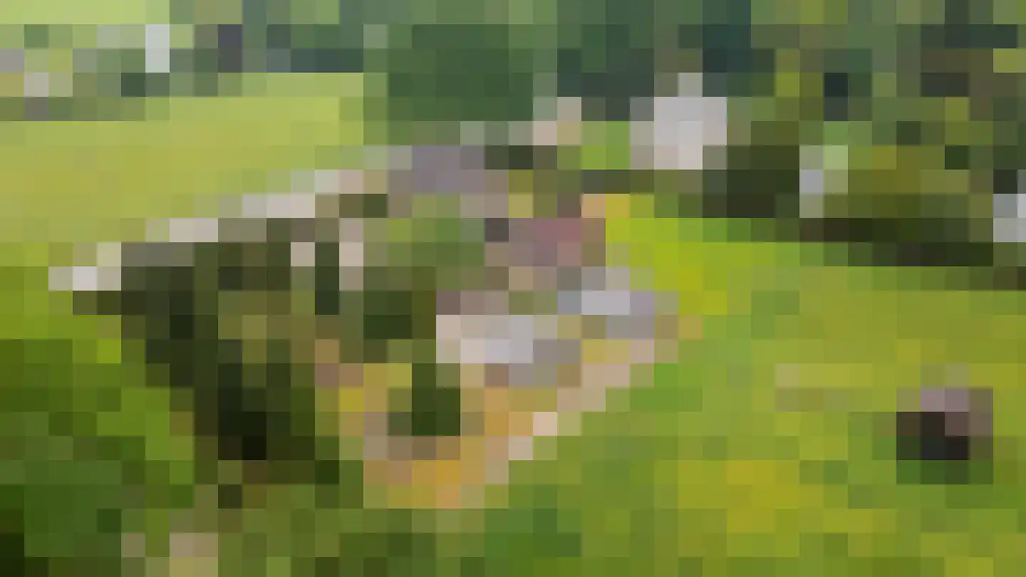 Moerdijkse Postbaan 52 Etten-Leur thumbnail 5