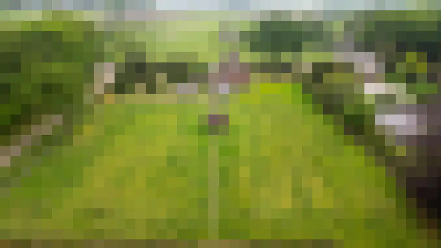 Moerdijkse Postbaan 52 Etten-Leur thumbnail 6