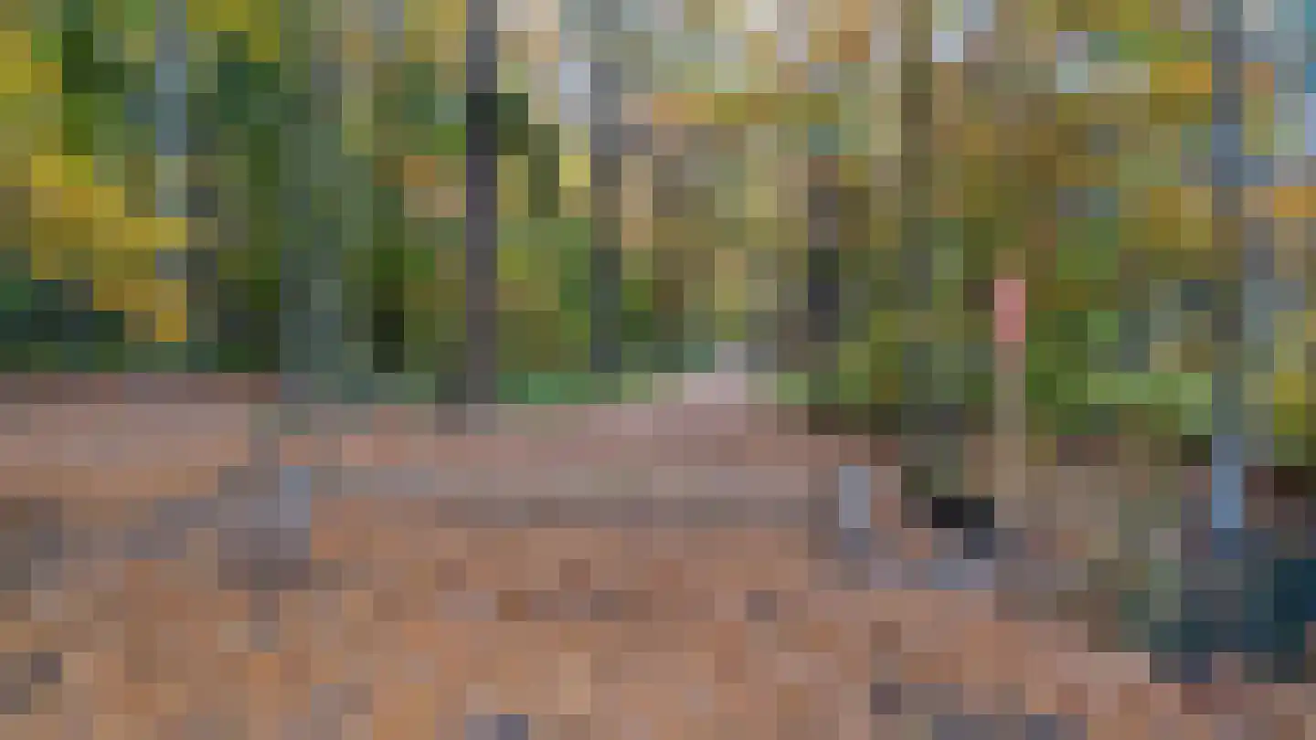 Moerdijkse Postbaan 8 Etten-Leur thumbnail 21