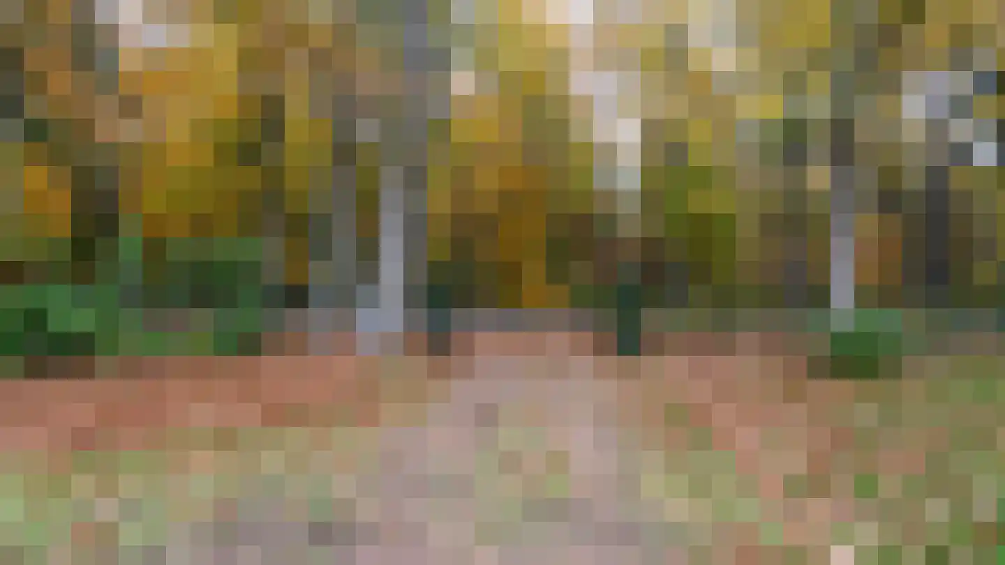 Moerdijkse Postbaan 8 Etten-Leur thumbnail 22