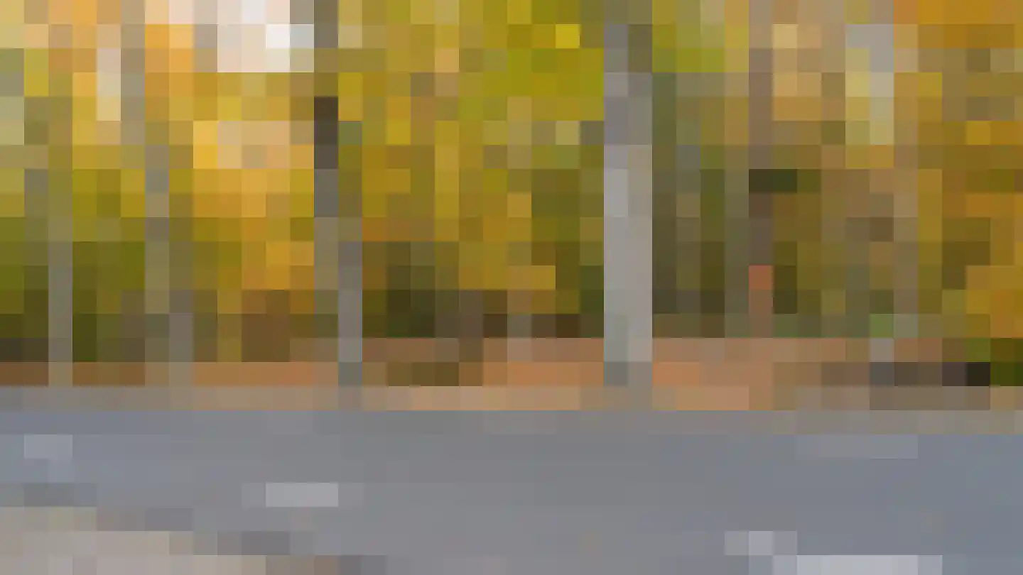 Moerdijkse Postbaan 8 Etten-Leur thumbnail 25