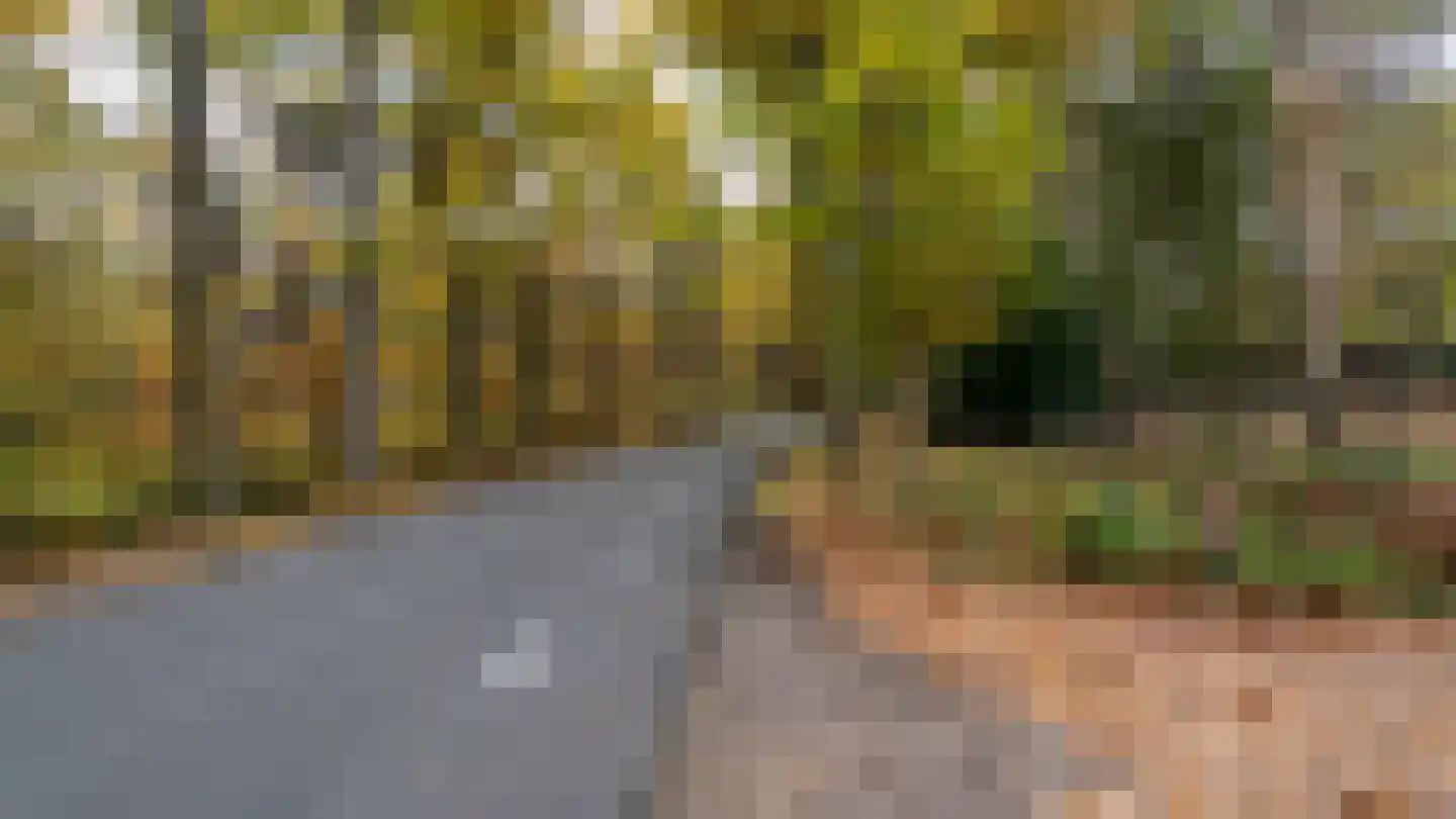 Moerdijkse Postbaan 8 Etten-Leur thumbnail 27