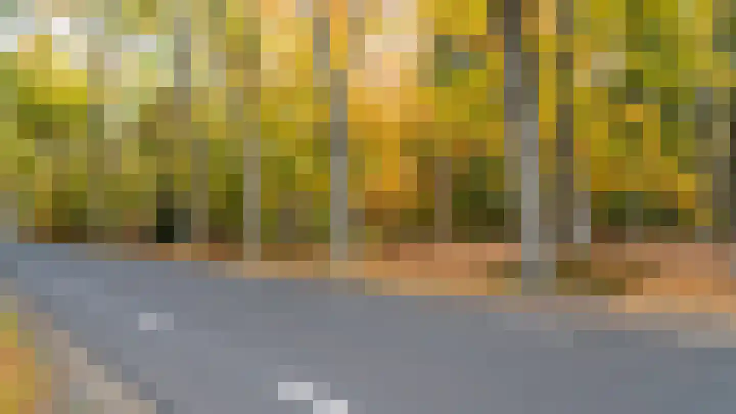 Moerdijkse Postbaan 8 Etten-Leur thumbnail 28