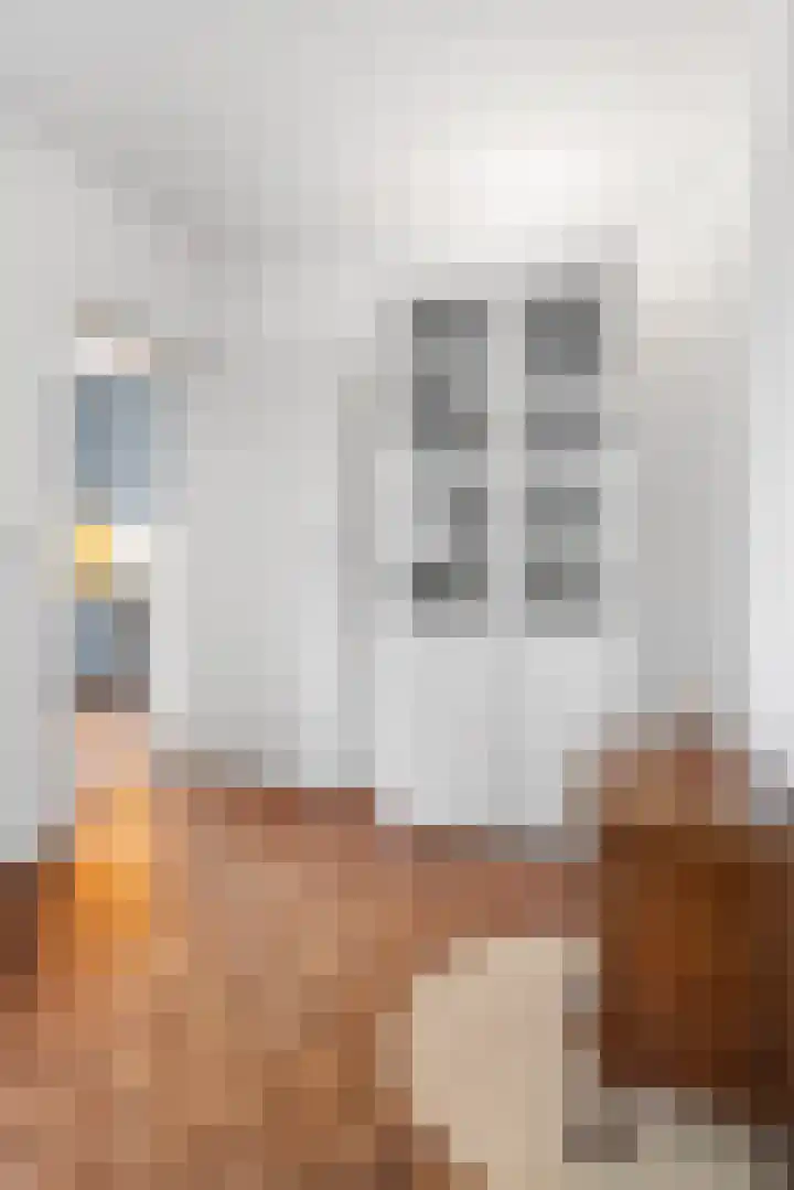 Moerdijksestraat 41 Oudenbosch thumbnail 17
