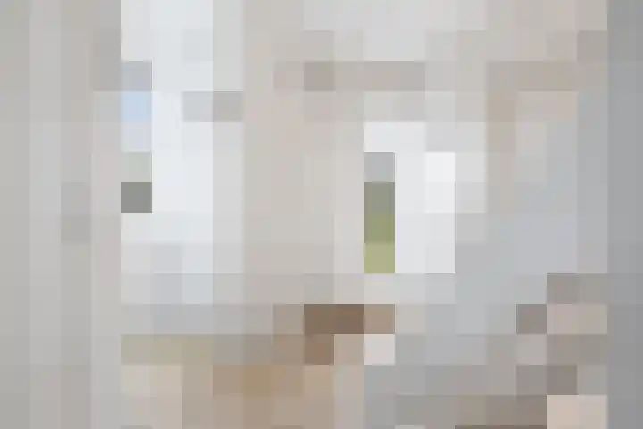 Moerdijksestraat 41 Oudenbosch thumbnail 24
