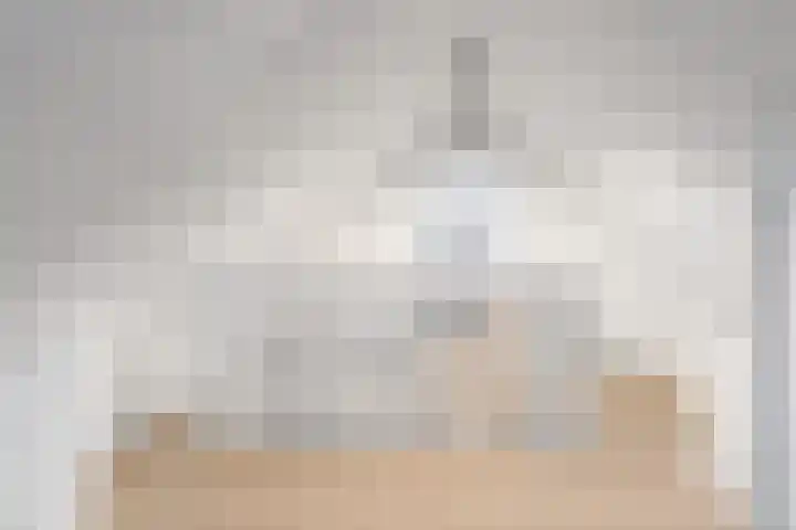 Moerdijksestraat 41 Oudenbosch thumbnail 39