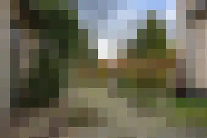 Moerdijksestraat 41 Oudenbosch thumbnail 43