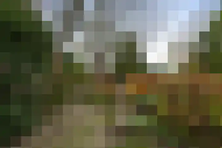 Moerdijksestraat 41 Oudenbosch thumbnail 44