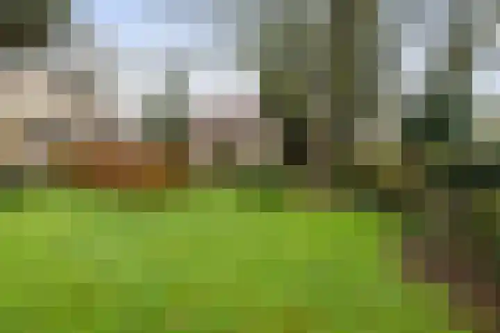 Moerdijksestraat 41 Oudenbosch thumbnail 50