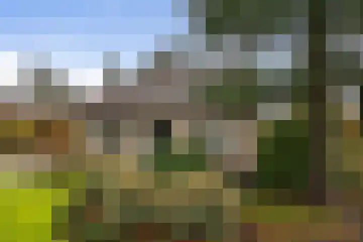 Moerdijksestraat 41 Oudenbosch thumbnail 53