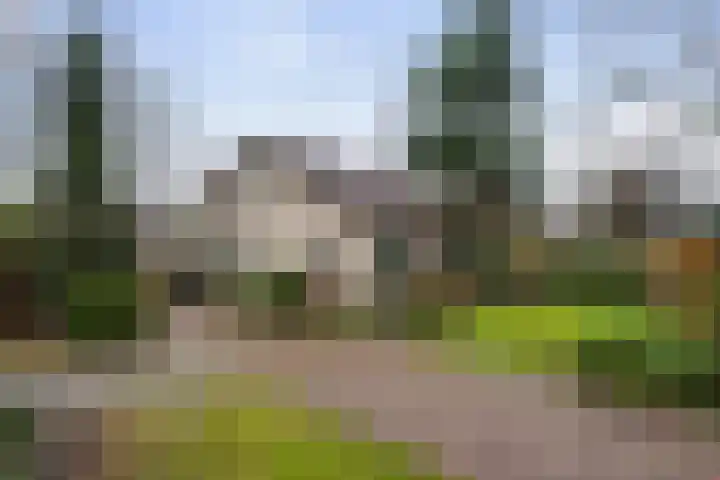 Moerdijksestraat 41 Oudenbosch thumbnail 55