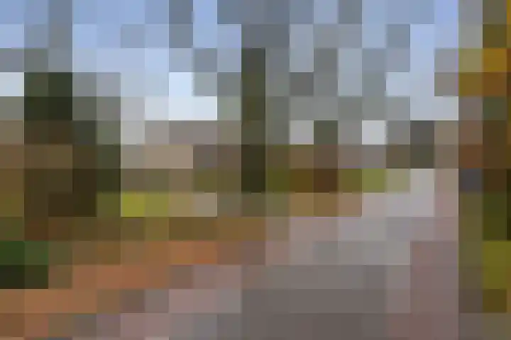 Moerdijksestraat 41 Oudenbosch thumbnail 58