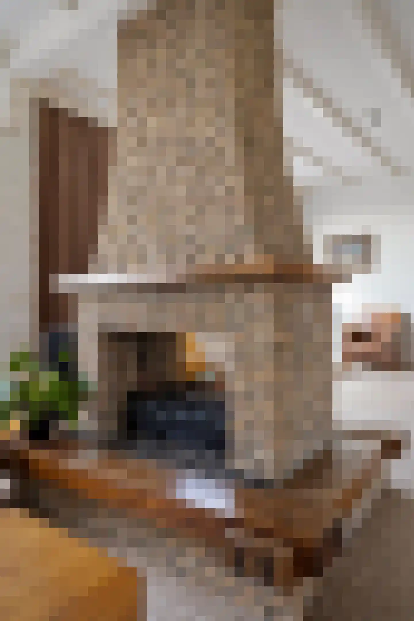 Moerdijkseweg 2 Terheijden thumbnail 16