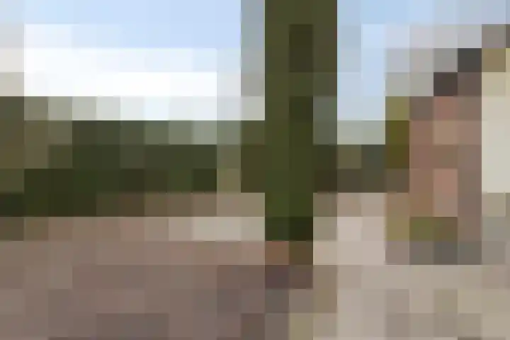 Moerdijkseweg 2 Terheijden thumbnail 39