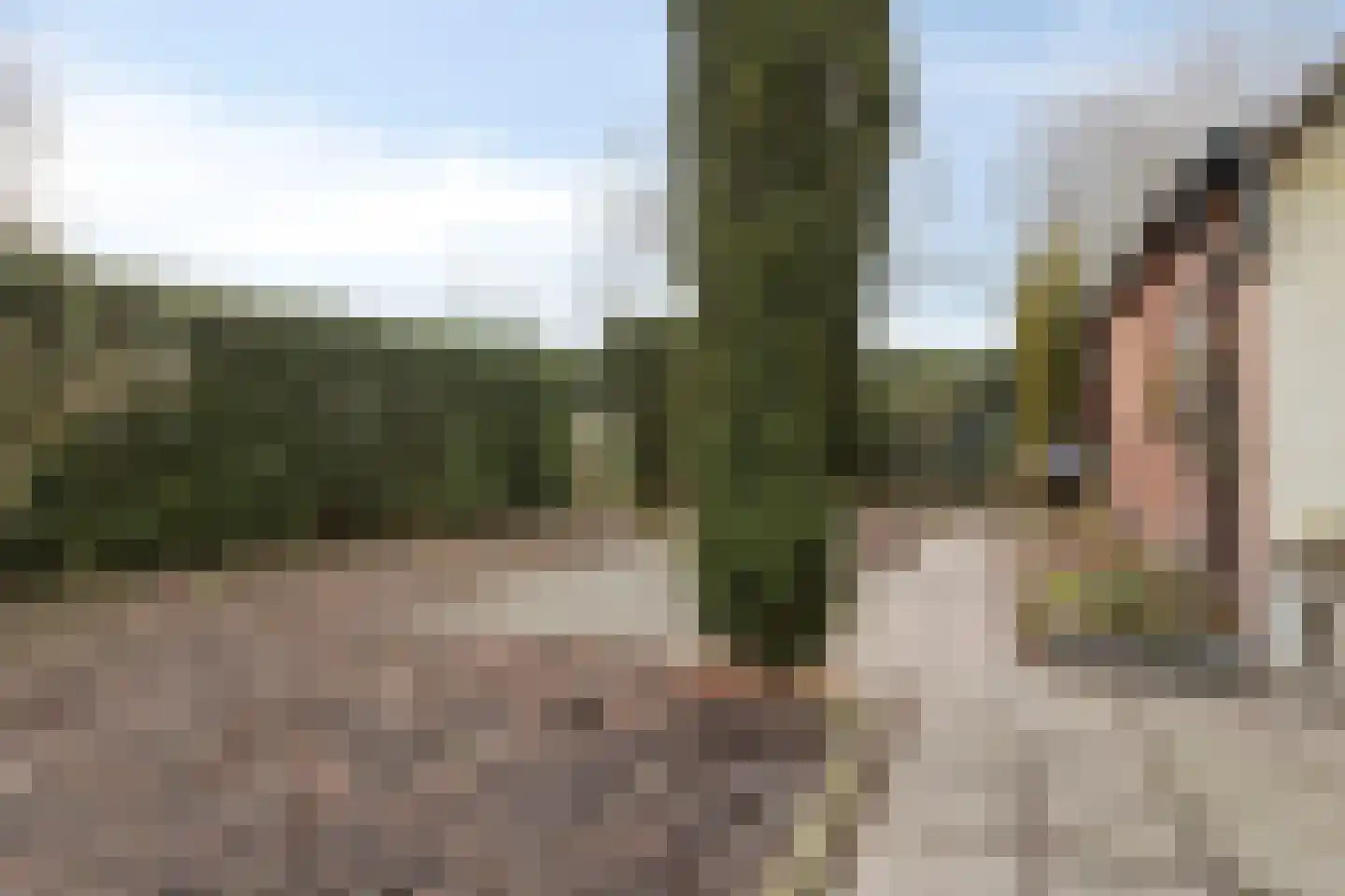 Moerdijkseweg 2 Terheijden thumbnail 39