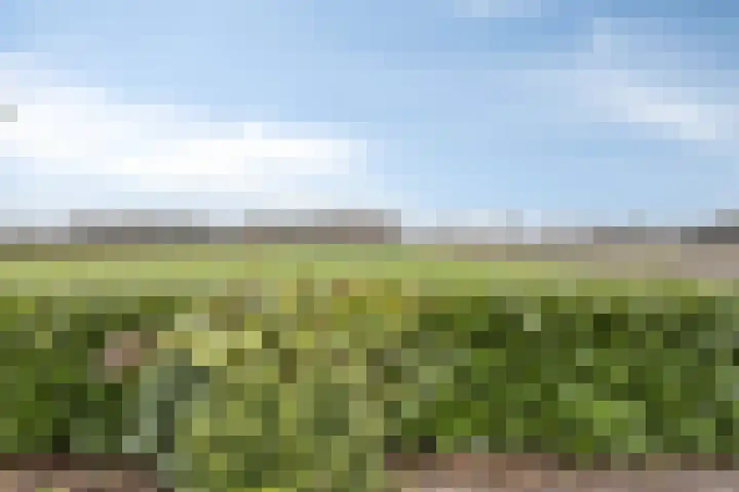 Moerdijkseweg 2 Terheijden thumbnail 5