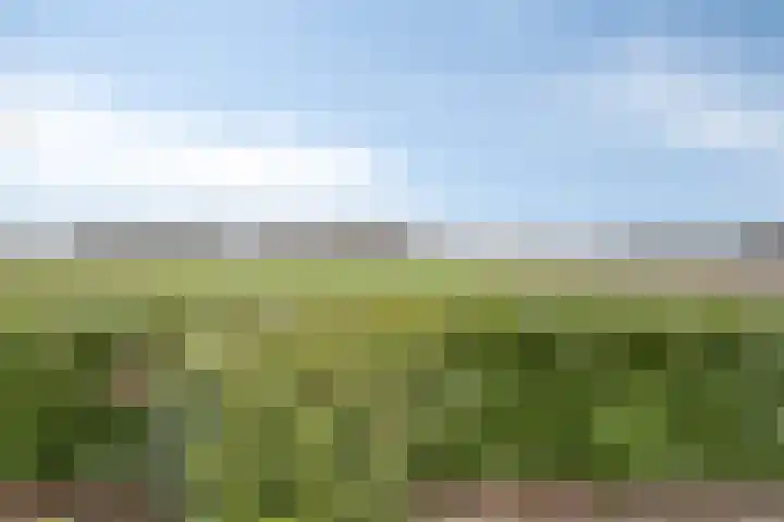 Moerdijkseweg 2 Terheijden thumbnail 5