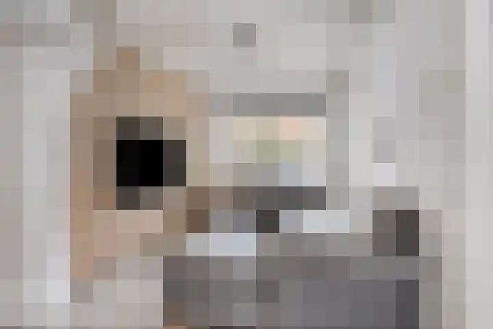 Moerdijkstraat 18 Eindhoven thumbnail 10