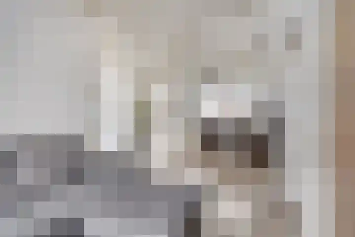 Moerdijkstraat 18 Eindhoven thumbnail 11
