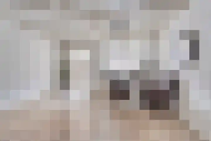 Moerdijkstraat 18 Eindhoven thumbnail 13