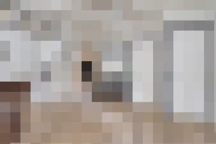 Moerdijkstraat 18 Eindhoven thumbnail 14