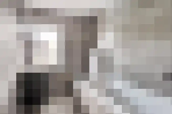 Moerdijkstraat 18 Eindhoven thumbnail 5