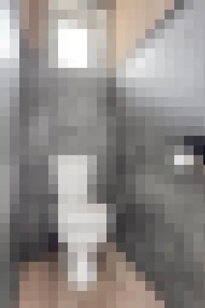 Moerdijkstraat 18 Eindhoven thumbnail 9