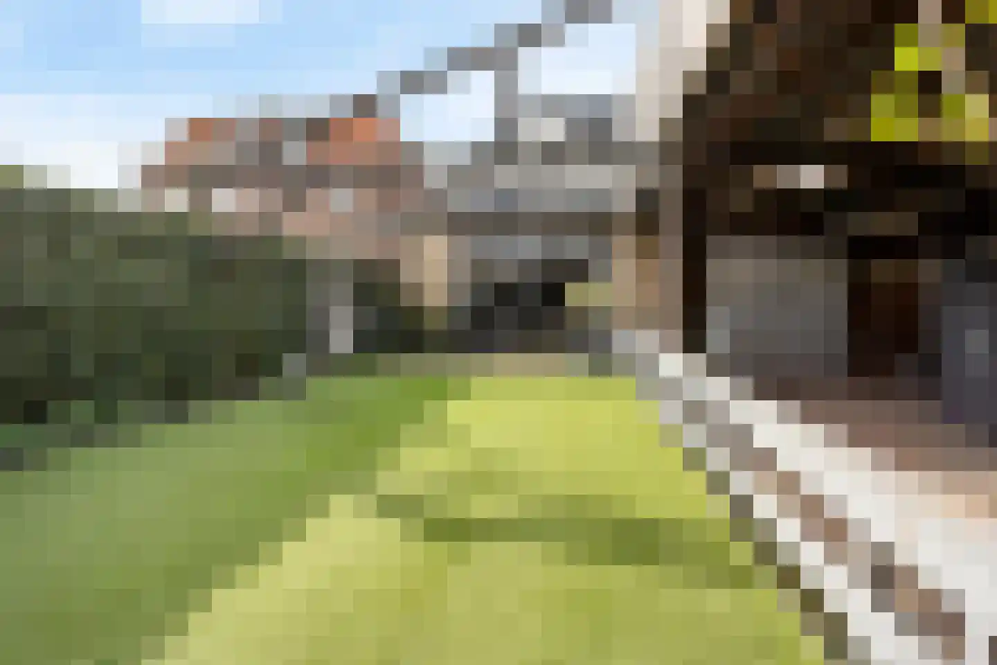 Moerdijkstraat 25 Moerkapelle thumbnail 56
