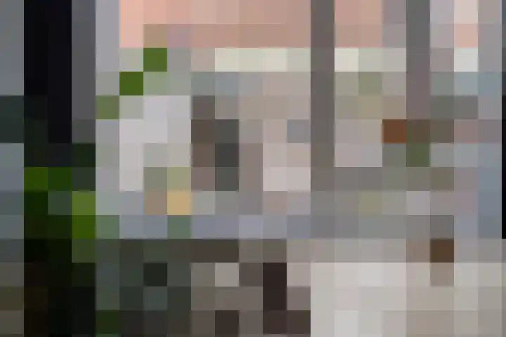 Moerdijkstraat 9 Eindhoven thumbnail 13