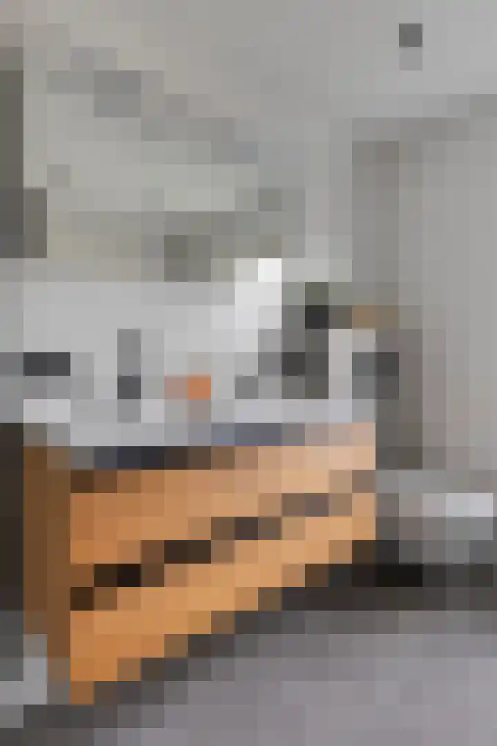 Moerdijkstraat 9 Eindhoven thumbnail 24